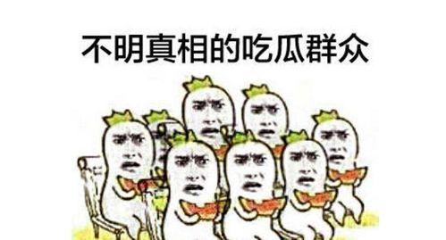 朝阳群众和吃瓜群众,揭秘都市生活众生相