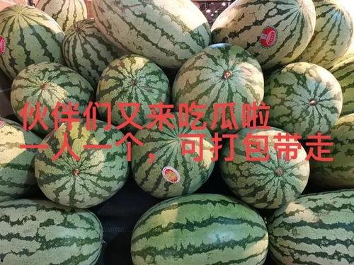 吃瓜婚嫁缠花,吃瓜群众见证下的婚嫁缠花盛宴