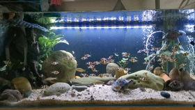 龟吃哈密瓜,哈密瓜的甜蜜邂逅