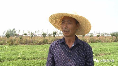 沭阳吃瓜直播,揭秘当地特色美食与网络直播的奇妙融合