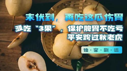 穿越到吃瓜,揭秘古代宫廷的八卦风云