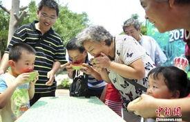 吃瓜大赛夺冠技巧