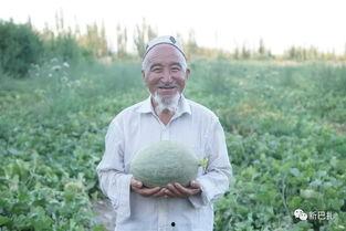 香草吃瓜,探寻夏日清新美食之旅