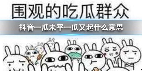 带你吃高端瓜 抖音,带你领略抖音“高端瓜”的魅力世界