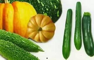 甩的吃瓜,揭秘娱乐圈的“吃瓜”文化