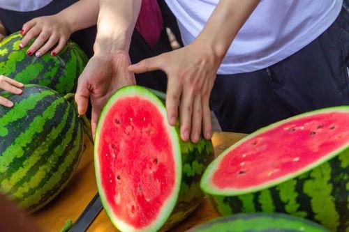 学校吃瓜河南,吃瓜群众揭秘校园生活点滴