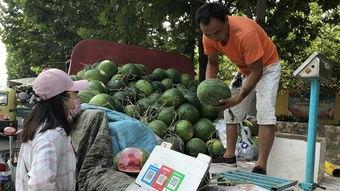 济宁北湖吃瓜事件,一场网络热议背后的真相揭秘