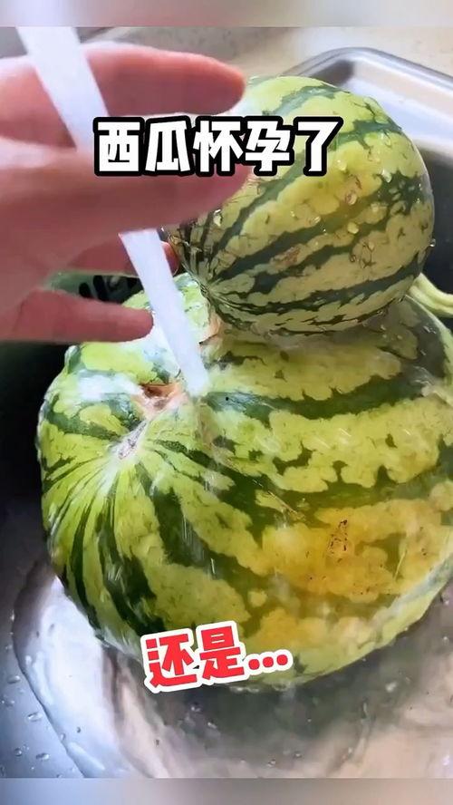吃瓜西瓜的搞笑配音,吃瓜西瓜的搞笑配音大揭秘