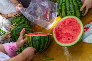 吃瓜夏天学生,吃瓜学生们的欢乐时光