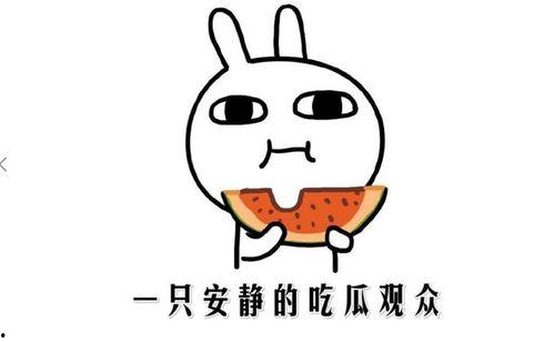 最新热门事件吃瓜吃瓜网,吃瓜群众视角下的真相追踪