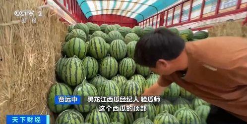 香秀吃瓜,揭秘娱乐圈背后的那些事儿