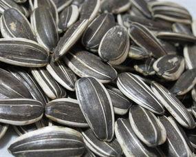 新奇吃瓜放瓜子吃法,瓜子吃法大揭秘