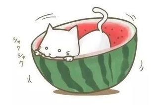 喝茶吃瓜看球,畅享激情球赛时光