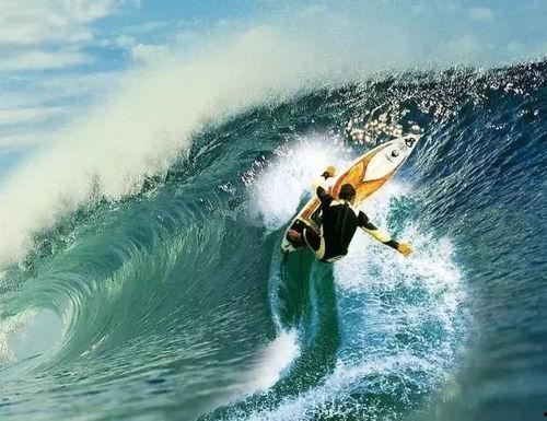 aaa冲浪吃瓜达人,aaa冲浪吃瓜达人的人生百态