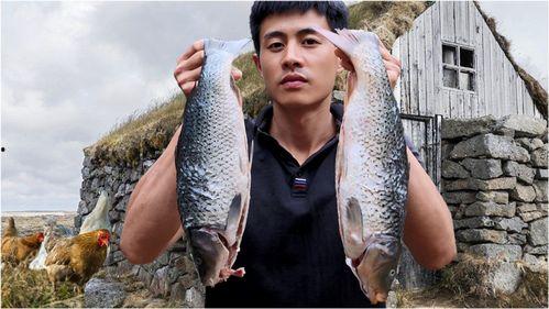 鲫瓜给猫吃,猫咪新宠物的健康食谱探索