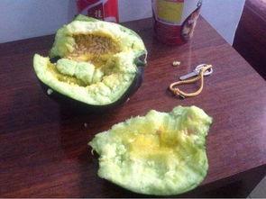 从前吃瓜和现在吃瓜,吃瓜群众的变迁与趣味